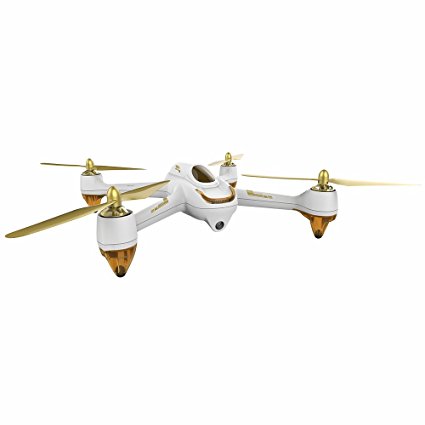 HUBSAN X4 H501S Pro Version GPS 5.8GHz Transmitter FPV with 1080P HD Camera RC Quadcopter RTH (H501S high white)